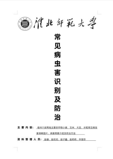 31f5e823a5e44d79ba982c30eab5baf5.png