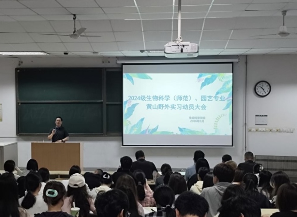 8881cbef268f42c4998d4ebea9af6444.png